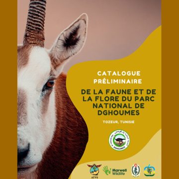 Tunisie │ Catalogue de la faune et de la flore du parc des Dghoumes