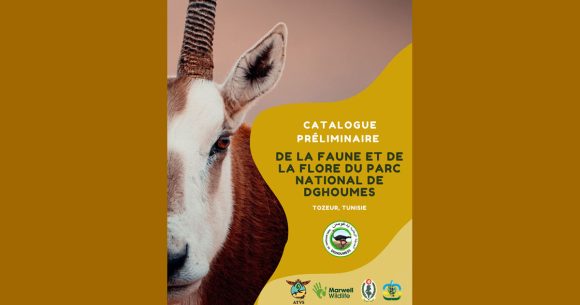 Tunisie │ Catalogue de la faune et de la flore du parc des Dghoumes