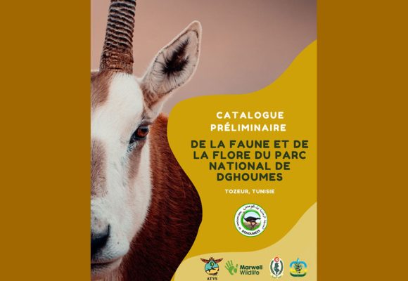 Tunisie │ Catalogue de la faune et de la flore du parc des Dghoumes