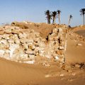 L’homme qui veut verdir le désert tunisien