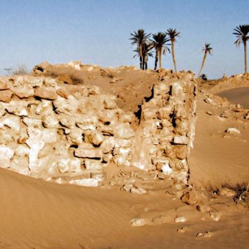 L’homme qui veut verdir le désert tunisien