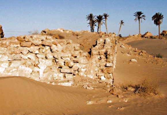 L’homme qui veut verdir le désert tunisien