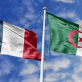 Les tensions diplomatiques n’empêchent pas le business entre Algérie et la France
