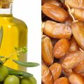 Les ambitions tunisiennes en matière d’agriculture bio