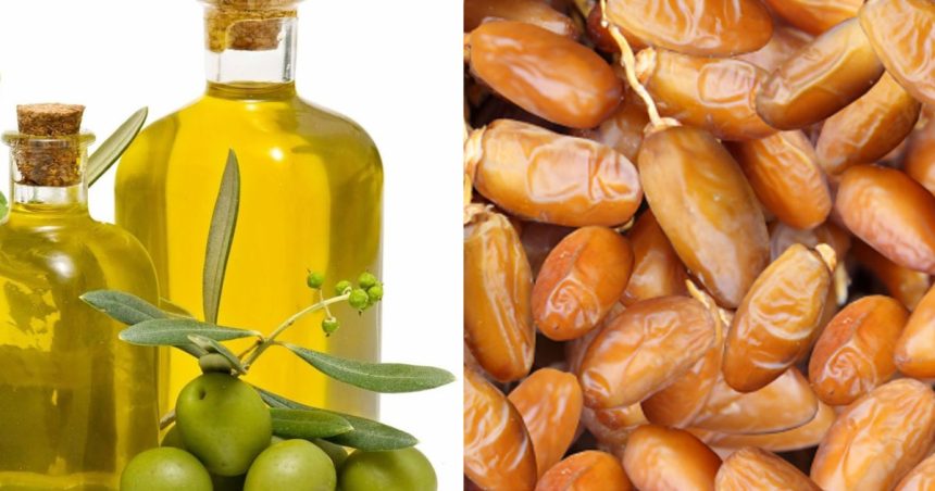 Les ambitions tunisiennes en matière d’agriculture bio