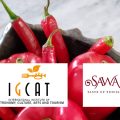 Tunisie │ Le Cap Bon candidat au titre de Région mondiale de la gastronomie