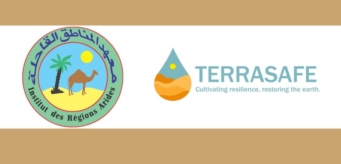 Le projet Terrasafe au secours des oasis du sud tunisien