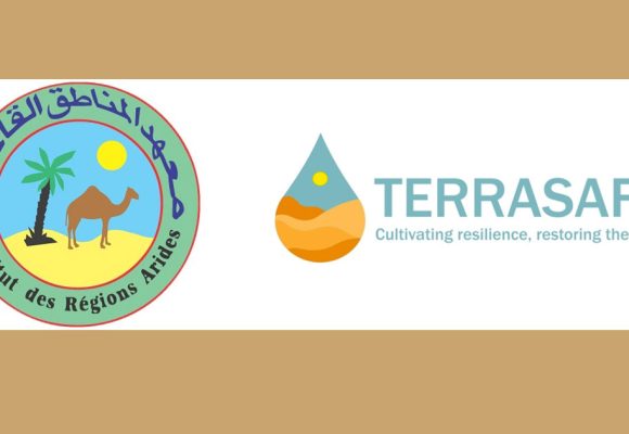 Le projet Terrasafe au secours des oasis du sud tunisien