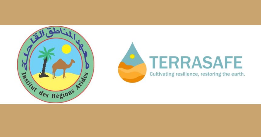Le projet Terrasafe au secours des oasis du sud tunisien