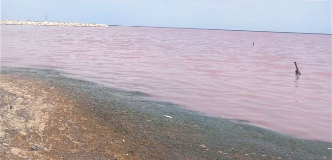 La «marée rouge» à Monastir inquiète les autorités tunisiennes