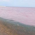 La «marée rouge» à Monastir inquiète les autorités tunisiennes