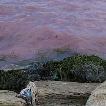 La mer saigne la plaie d’un pays muet  