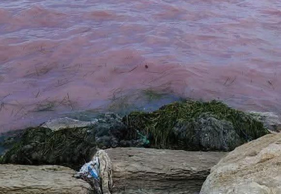 La mer saigne la plaie d’un pays muet  
