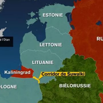 Les pays baltes défient Moscou! 