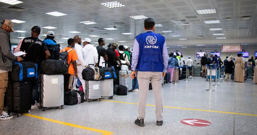 Migration │ 196 rapatriements volontaires supplémentaires depuis la Tunisie
