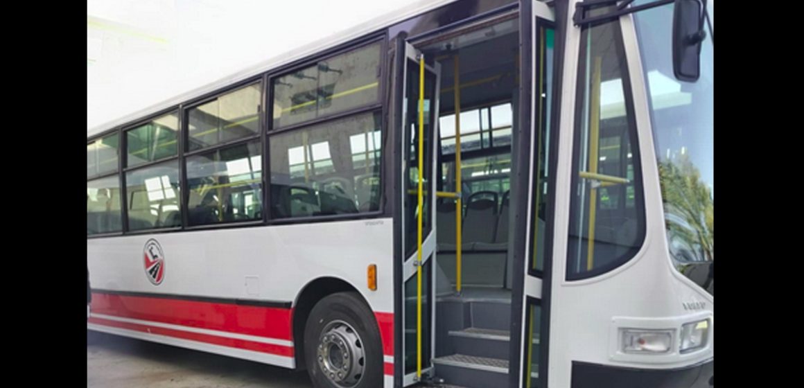 Nabeul | De nouvelles dessertes de bus vers les plages