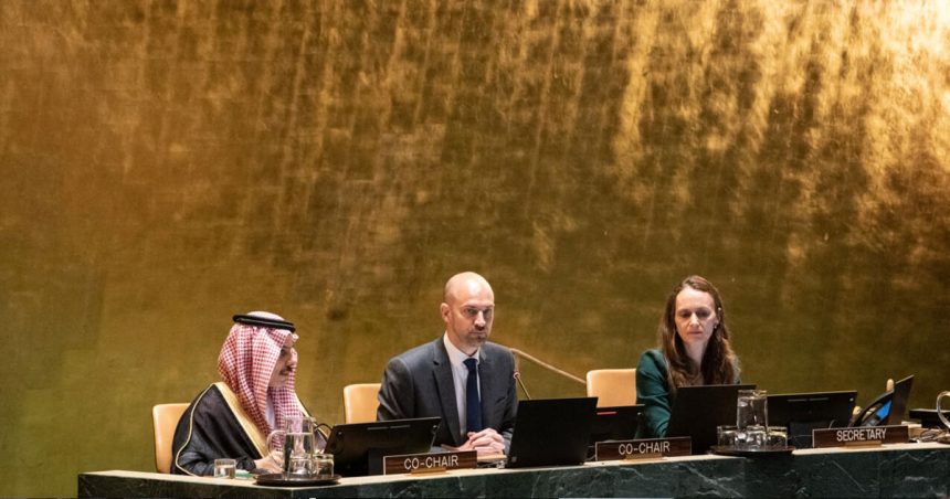 Congrès de New York sur les deux États |  Avancée historique pour la Palestine
