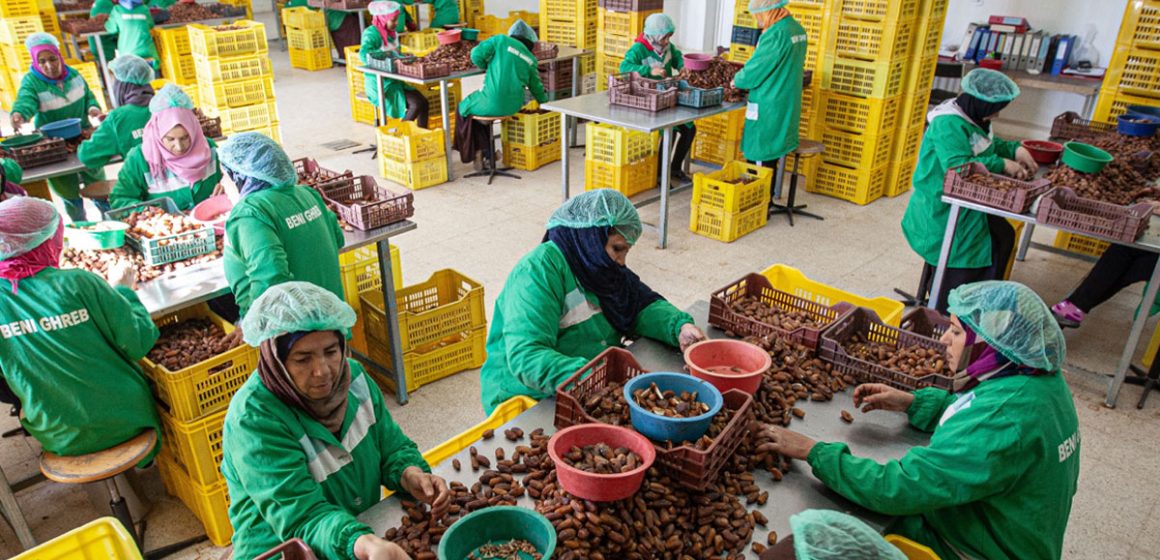Enquête l Les facteurs qui freinent la croissance des PME tunisiennes