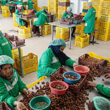 Enquête l Les facteurs qui freinent la croissance des PME tunisiennes