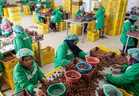 Enquête l Les facteurs qui freinent la croissance des PME tunisiennes