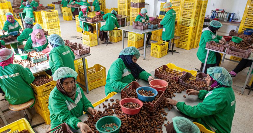 Enquête l Les facteurs qui freinent la croissance des PME tunisiennes