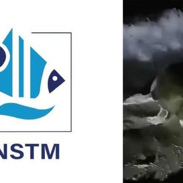 Première nidification d’une tortue caouanne sur la plage de Sidi Ali El Mekki