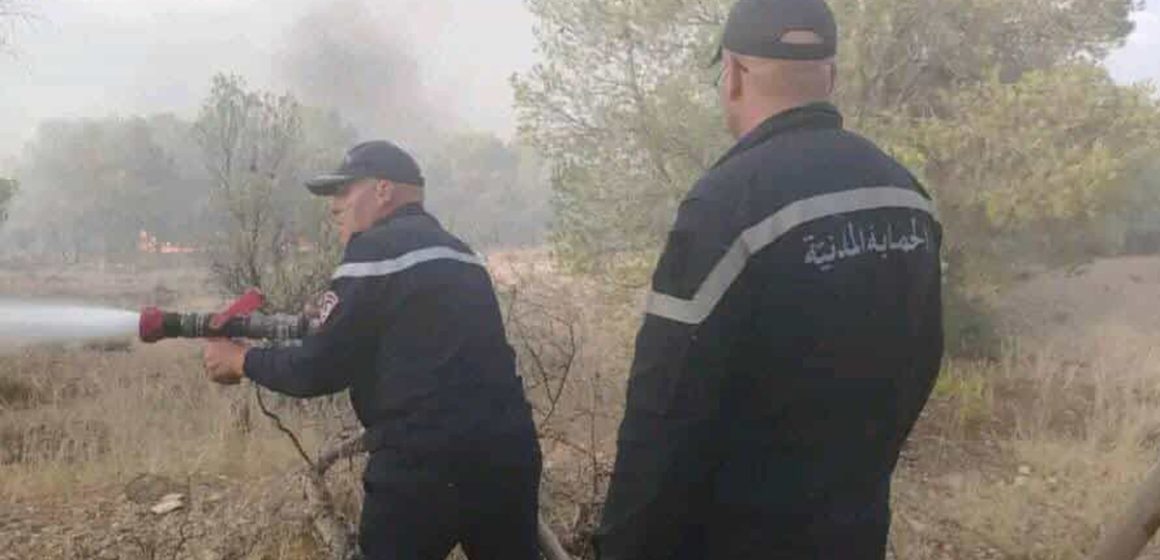 Kasserine | Sbeïtla : L’incendie de Jebel Douleb maîtrisé