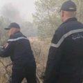 Kasserine | Sbeïtla : L’incendie de Jebel Douleb maîtrisé
