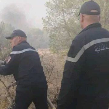 Kasserine | Sbeïtla : L’incendie de Jebel Douleb maîtrisé
