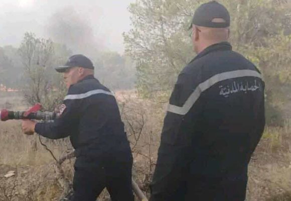 Kasserine | Sbeïtla : L’incendie de Jebel Douleb maîtrisé