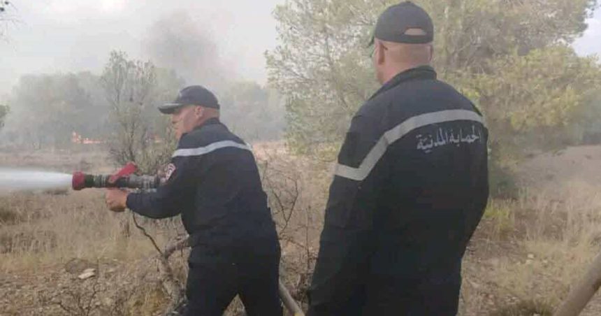 Kasserine | Sbeïtla : L’incendie de Jebel Douleb maîtrisé