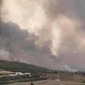 Zaghouan | Incendie dans une zone forestière à El-Fahs