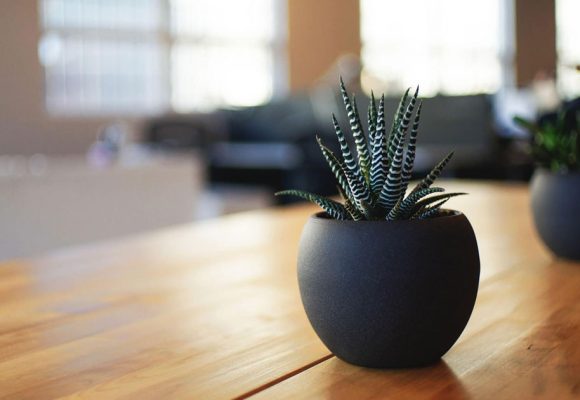 Poème de la vie | Le temps qui me reste