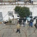 Les oubliés du bagne israélien de Megiddo