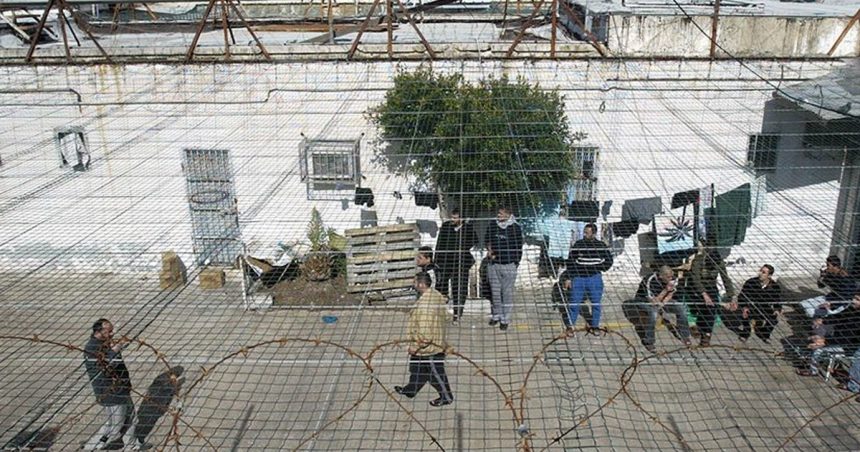 Les oubliés du bagne israélien de Megiddo