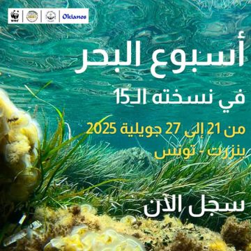 Le WWF organise la Semaine de la Mer à Bizerte
