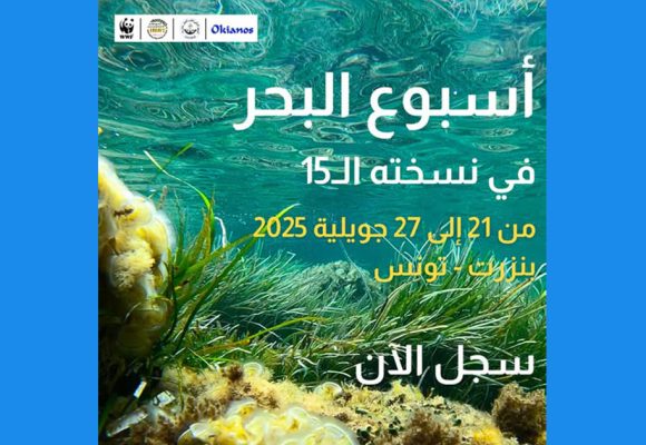 Le WWF organise la Semaine de la Mer à Bizerte