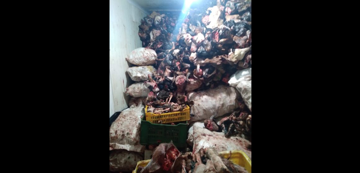 Insspa | De la viande avariée destinée aux restaurants saisie à Kairouan
