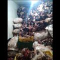 Insspa | De la viande avariée destinée aux restaurants saisie à Kairouan