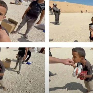 Amir, l’ange de Gaza broyé par la machine génocidaire israélienne