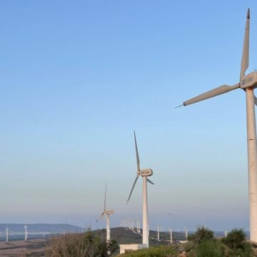 La Tunisie mise sur le développement de l’énergie éolienne