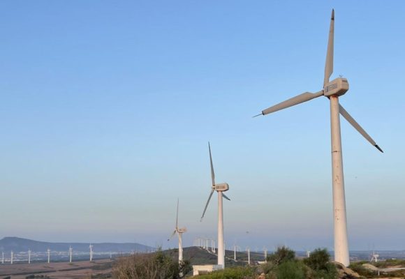 La Tunisie mise sur le développement de l’énergie éolienne