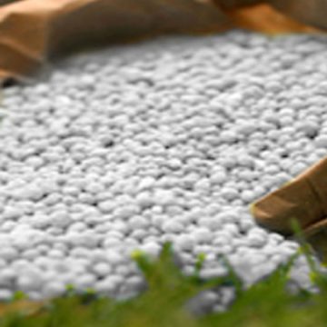 Le Bangladesh va acheter 65 000 tonnes d’engrais auprès de la Tunisie et du Maroc