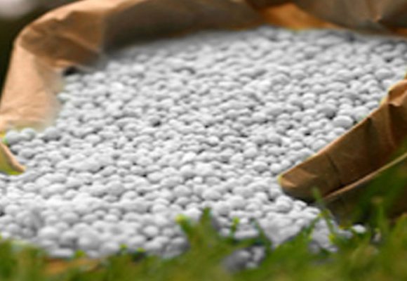 Le Bangladesh va acheter 65 000 tonnes d’engrais auprès de la Tunisie et du Maroc