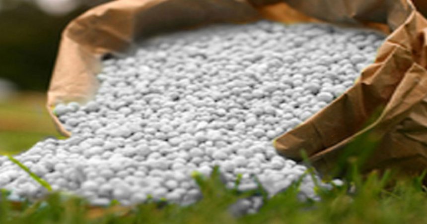 Le Bangladesh va acheter 65 000 tonnes d’engrais auprès de la Tunisie et du Maroc