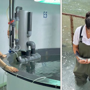 Fairouz Abbassi, une Tunisienne en aquaculture