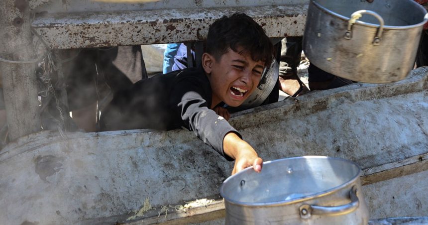 Gaza, Soudan, Afghanistan | La famine comme arme de guerre
