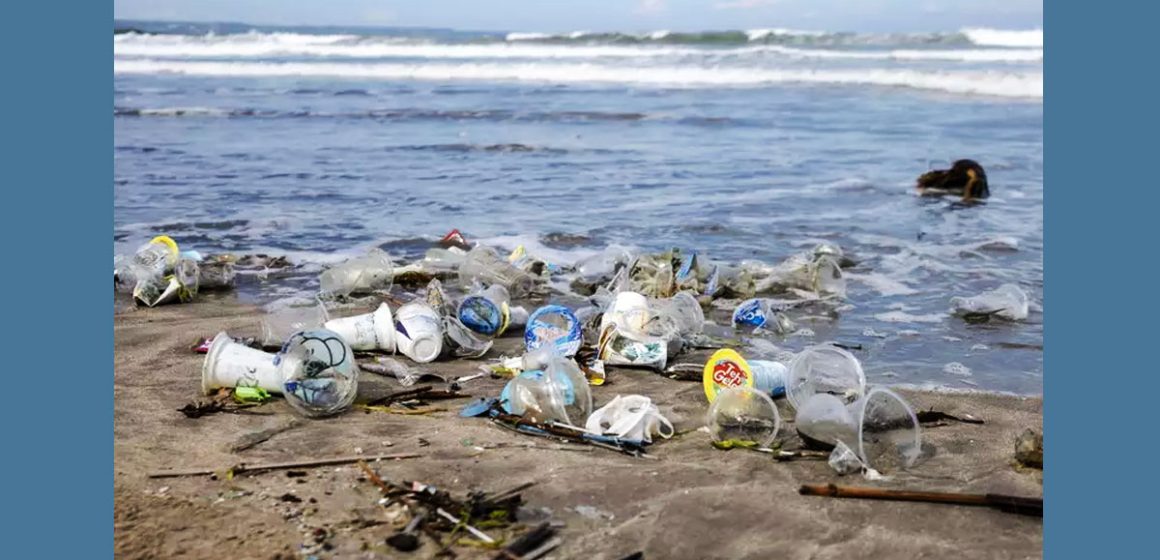 WWF alerte | Trop de plastique sur les plages tunisiennes