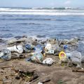 WWF alerte | Trop de plastique sur les plages tunisiennes