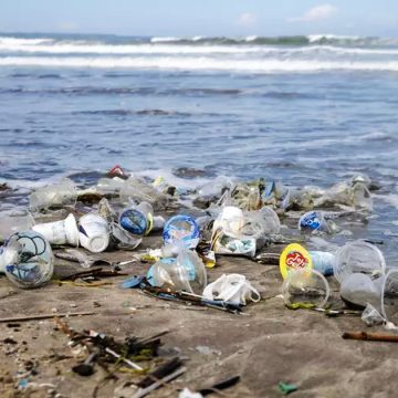 WWF alerte | Trop de plastique sur les plages tunisiennes